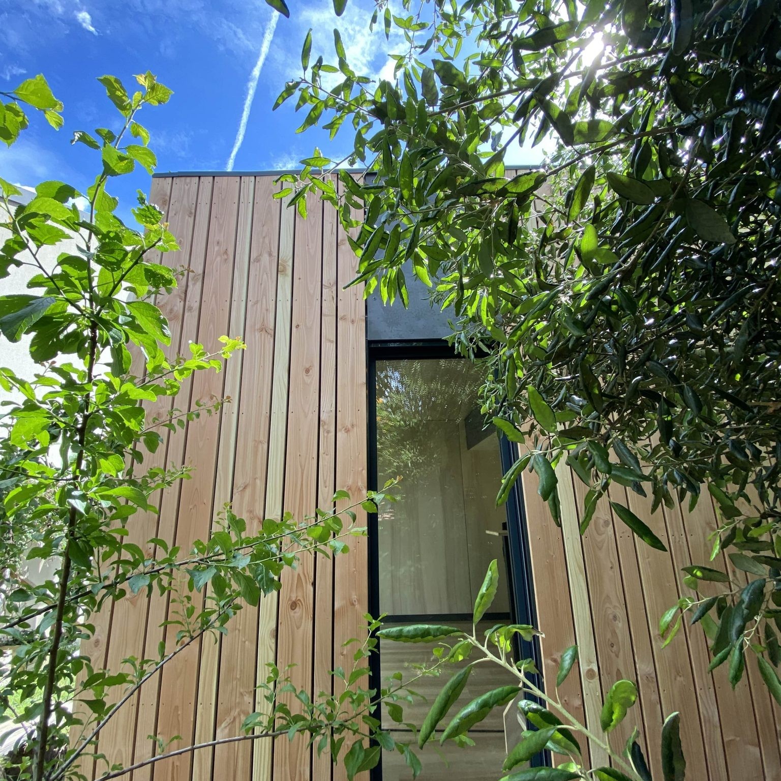 Studio de jardin design habitable 20m2 - Tilia - WoodVolum